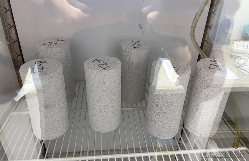 Figura 7 - Campioni cilindrici sottoposti a cicli di gelo e disgelo mediante cella a temperatura controllata 