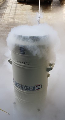 Figura 7 - Contenitore criogenico di azoto liquido